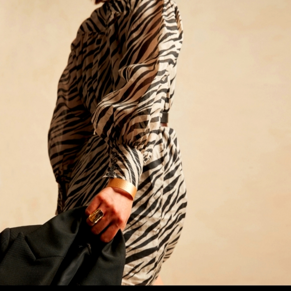 Banana Republic rami dress, zebra animal print dress